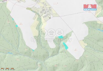 Prodej lesa, 11459 m², Nýrov - 4
