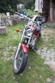 Suzuki Savage - rat - 4