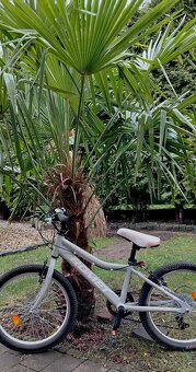 Dětské kolo Romet - 4