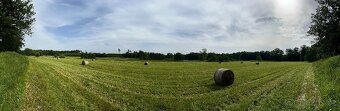 Prodej louky❗️2,2 ha❗️100% podíl, 44 Kč/m² - 4