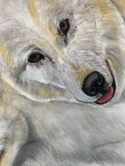 Obraz Strážci Arktiky, pastel - 4