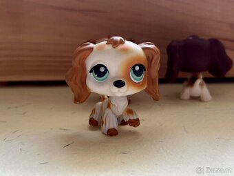 LPS Kokršpaněl - 4