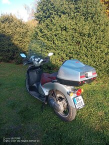 Aprilia Scarabeo - 4