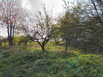 Stavební pozemek 907 m2 v obci Loukovec, okr. Mladá Boleslav - 4