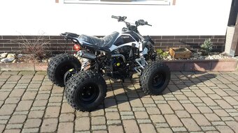 BUFFLER XS 125Y - 4