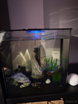 Biorb 30 l black - 4