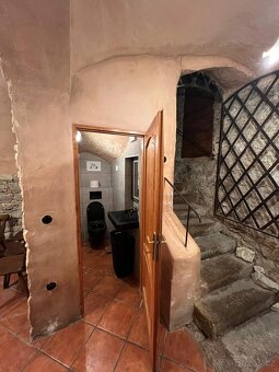 Prodej komerčního prostoru Praha 1 - 4