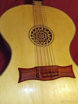 netradiční desetistrunná kytara - 4