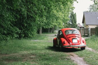 Volkswagen Brouk 1973 - 4