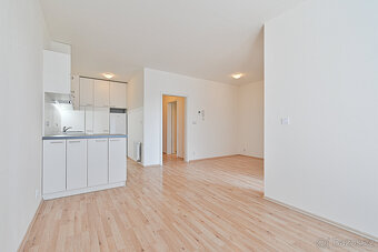 Pronájem bytu 2+kk, Řípská, Brno - Slatina, 42 m2 - 4