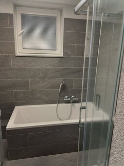 Pronájem bytu 3+1 v ČB - 4