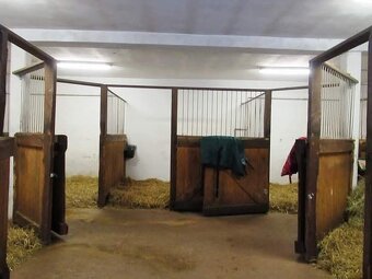 Ustájení-posledni box - 4