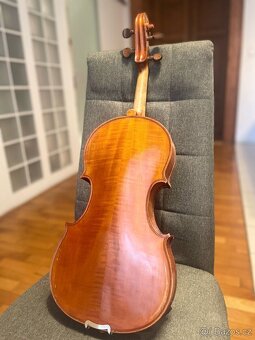 Viola - 4