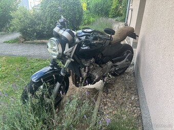 Honda CB 600 F Hornet - 4