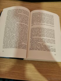 Jednoduchý plán - Scott Smith - 4