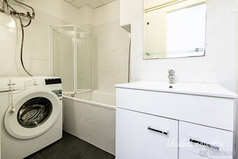 Pronájem bytu 2kk 47m² - 4