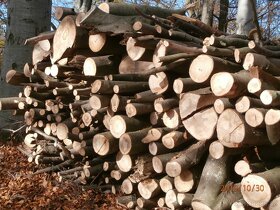 Dřevo na topení, grilování a uzení - BUK a LÍPA - 4