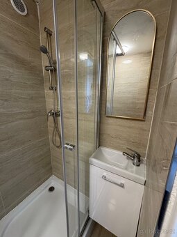 Pronájem bytu v Bohumíně - 4