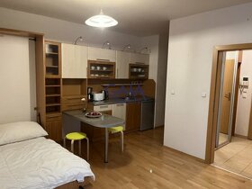 Praha- Skvělá investice byt s výnosem v Praze Vinohradech - 4