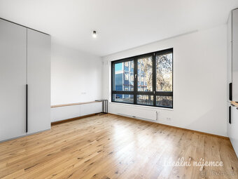 Pronájem bytu 1+kk, Závišova, Nusle, 21900 Kč/měs, 33 m2 - 4