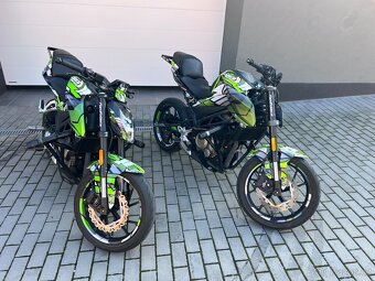 CF MOTO 300nk, STUNT 2022, STK - 4