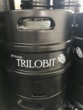 Prodej repasovaných KEG sudů pro minipivovary - 4