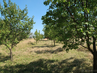 Pozemek Velké Pavlovice - 4