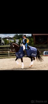 Nabízím Drezurni tréninky - 4