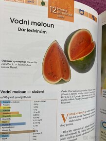 Encyklopedie léčívých potravin - 4