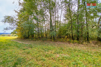 Prodej ostatní, 1966 m², Luby - 4