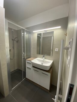 Pronájem 1+kk - 4