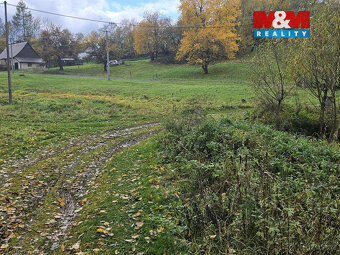 Prodej louky, 1636 m², Hanušovice - 4