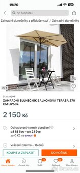 Balkonovy slunecnik, poloslunecnik bezovy - 4