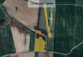 Prodej pole v k.ú. Moravany nad Loučnou a Platěnice - 4