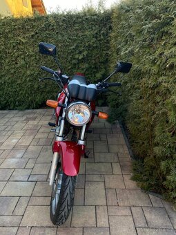 Honda CBf 250 A2 - 4