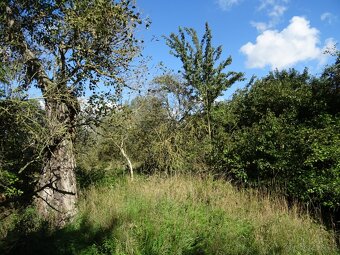 Zahrada - Žatec - 4