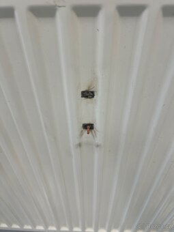 Radiátor Cosmo 800x600 typ 22 - 4