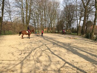 Ustájení koní - 4