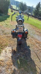 Kawasaki Vulcan VN 800 Classic - 4