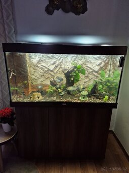 Prodam akvarium Juwel 360L - 4