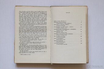 Vybrané spisy - Denis Diderot - 4