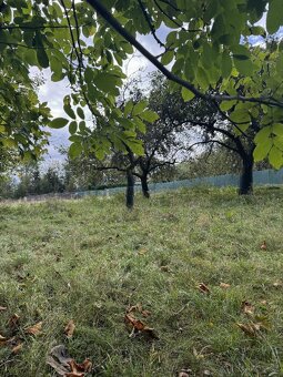 Zahrada a přilehlé pozemky v k.ú. Velké Svatoňovice - 4
