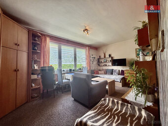 Prodej bytu 1+kk, 31 m², Orlová, ul. Květinová - 4