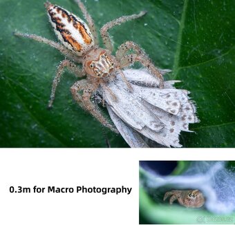 Pergear 100mm F2.8 Full Frame 2X Ultra Macro L mount, nové - 4