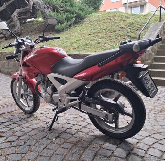 Honda CBF 250 - 4