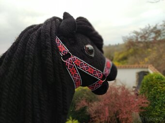 Hobby horse - 4