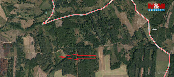 Prodej lesa, 5033 m², Jetětice - 4