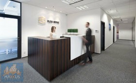Kancelářské prostory (16 m2) v moderní kancelářské budově, P - 4