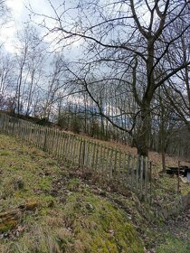 Pronájem neudržované zahrady v Brné, v kopci - 4