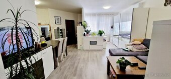 Pronájem prostorné 1kk 45m2 v Břeclavi - Poštorné - 4